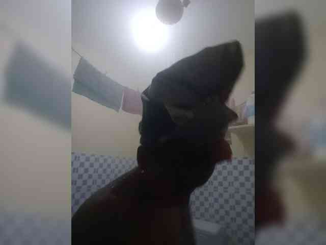 DarkDesireJ webcam
