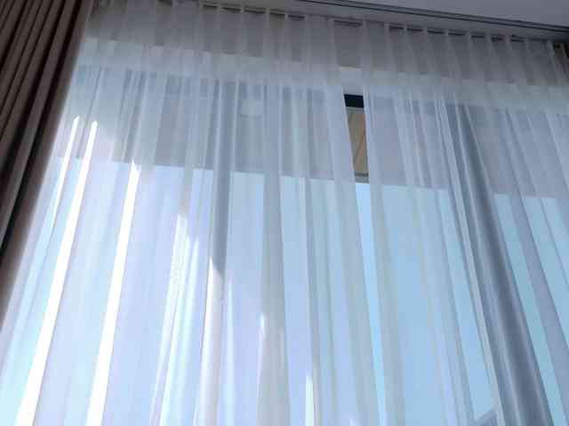 asiansakura