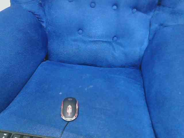 Lovenana webcam