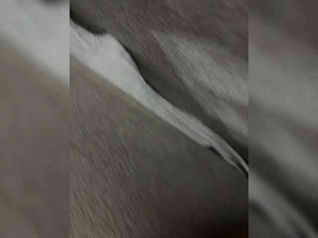Coupleshowww Coupleshowww