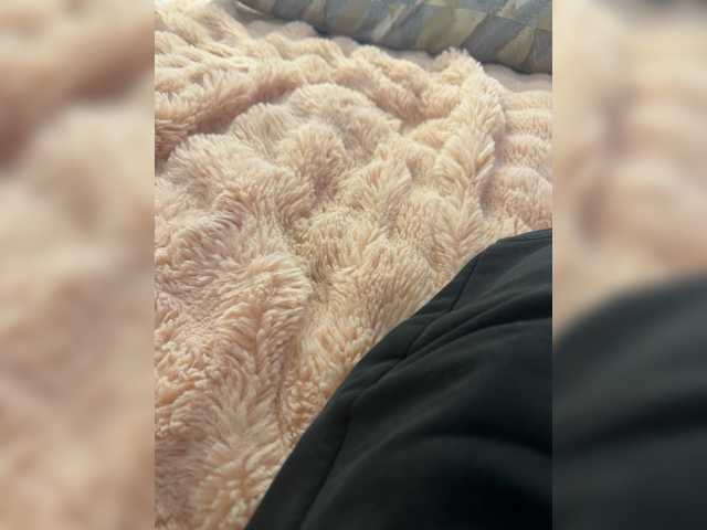 Pizzi live cam on BongaCams