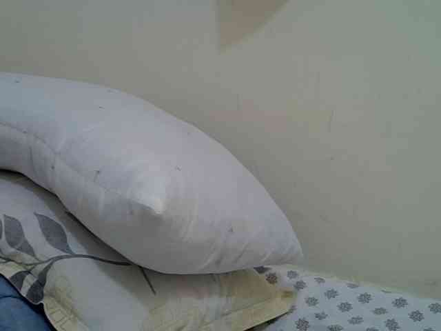 sexydona webcam