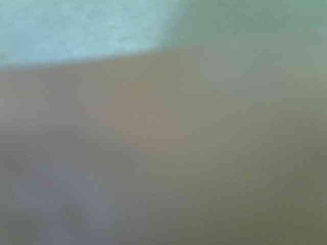 Rayas4