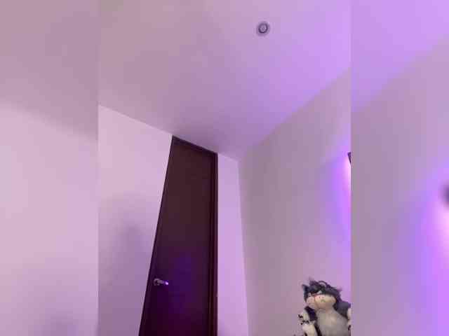 -Sthef-castle- webcam