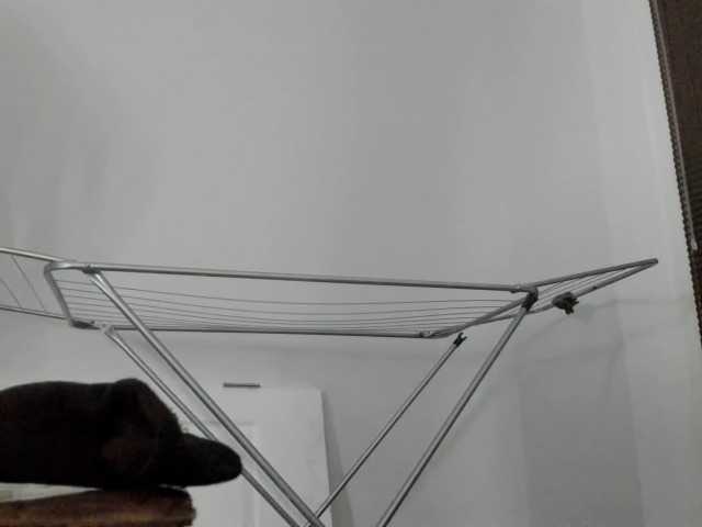 RosyFoxy live cam on BongaCams