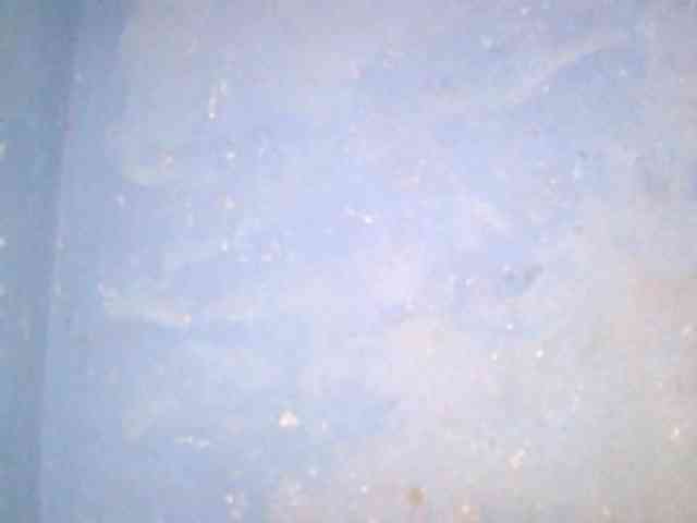 Claudia9
