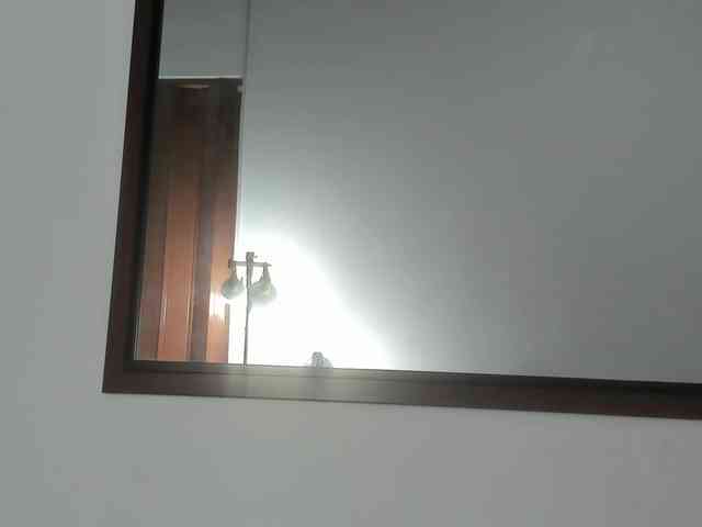 zaleyamateus25 webcam