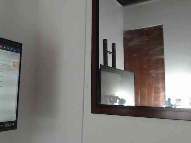 zaleyamateus25 webcam