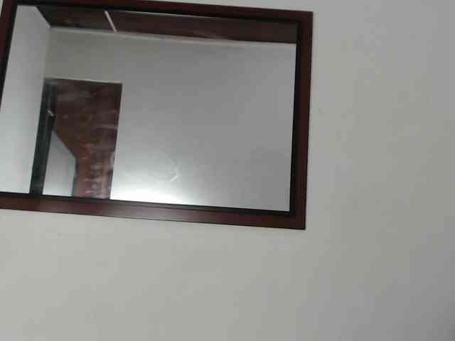 zaleyamateus25 webcam