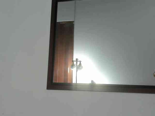 zaleyamateus25 webcam