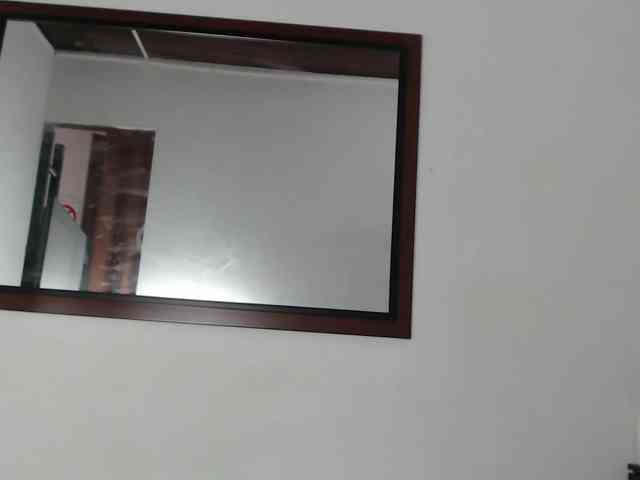 zaleyamateus25 webcam