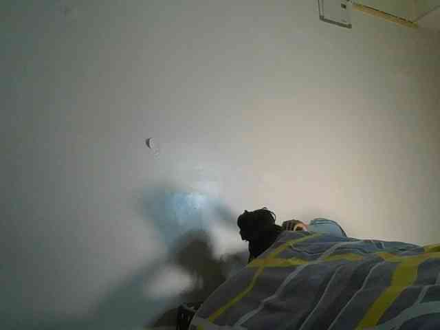 Sweetlyra webcam