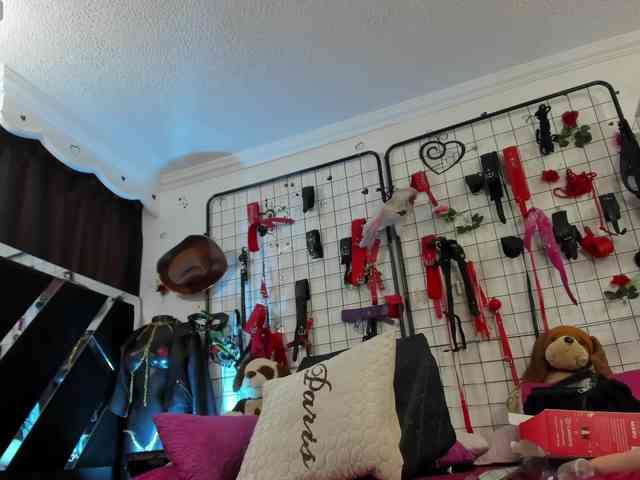 Maily-sh webcam