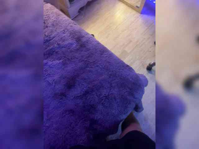 feelthevibe
