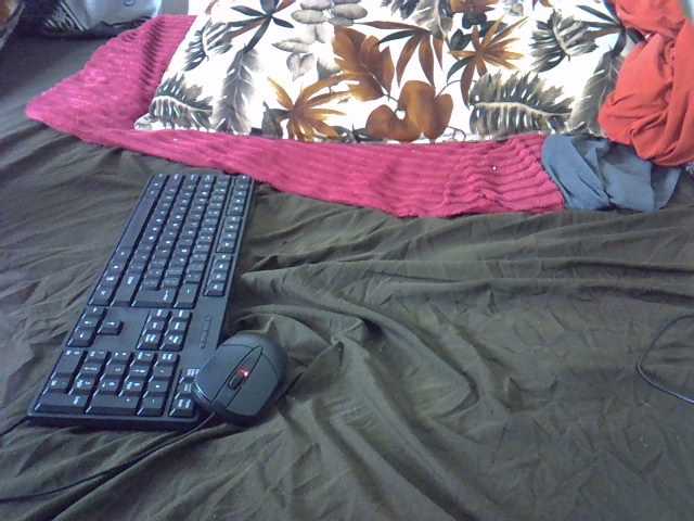 Wendy999 live cam on BongaCams