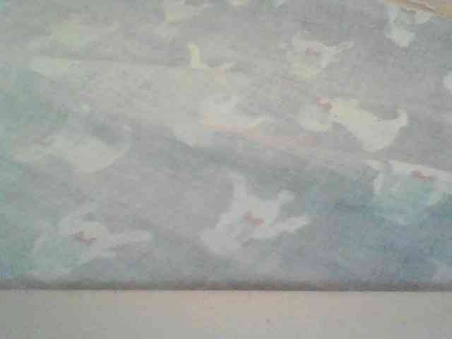 Malaika1 webcam