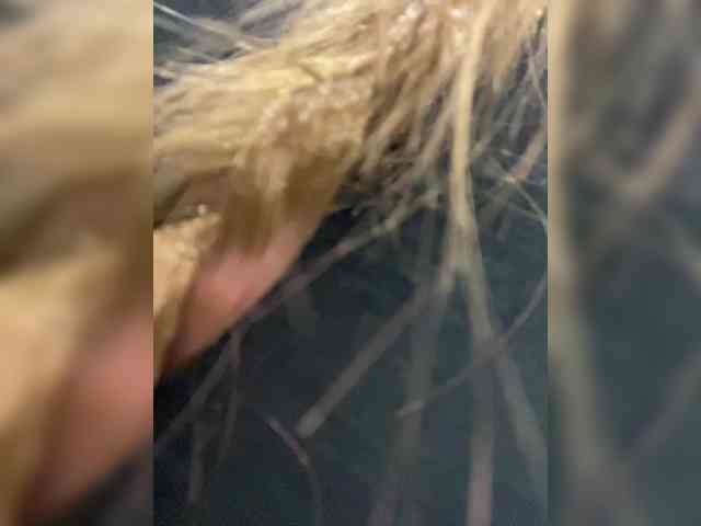 Stacy_Soull webcam