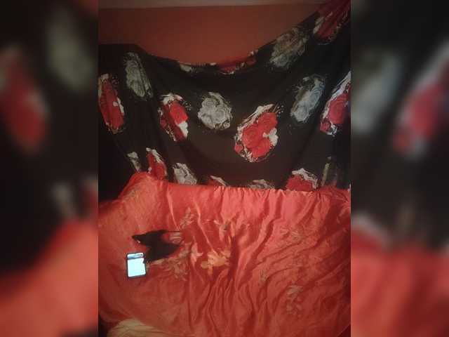 MIISA webcam