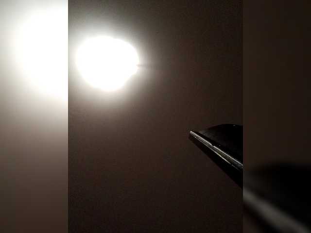 MysticLuna600