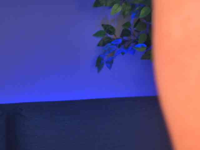 NewLuxxy webcam