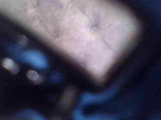 tinealx webcam