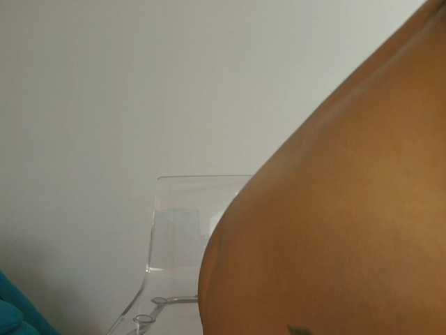 JazminBunny