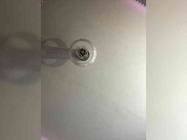 Nina87 webcam
