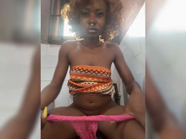 grayafricana