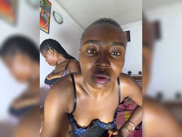 grayafricana live cam preview
