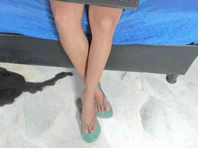 daniary