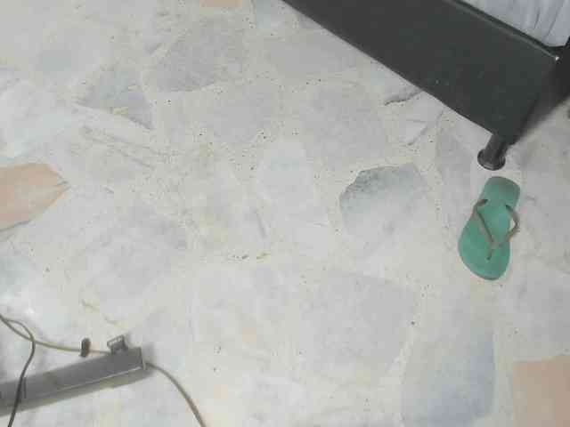 daniary webcam