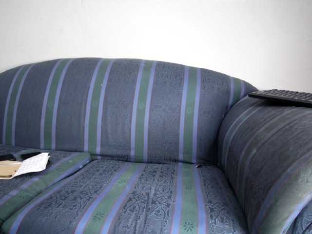 rosepreggy01