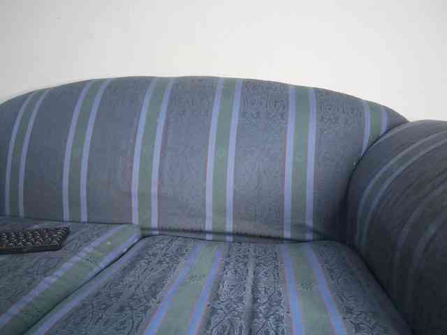 rosepreggy01