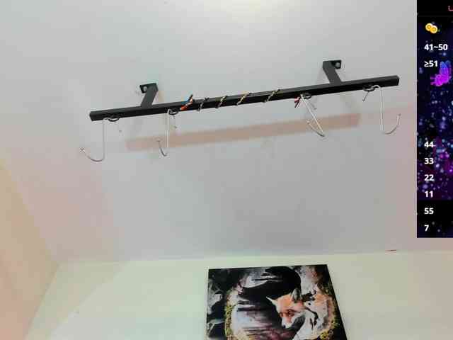 zendal-cahen webcam