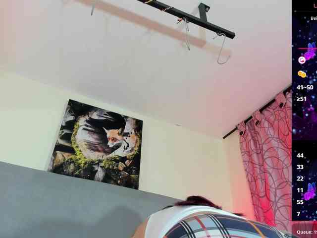 zendal-cahen webcam