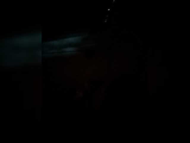 Herdock live cam preview