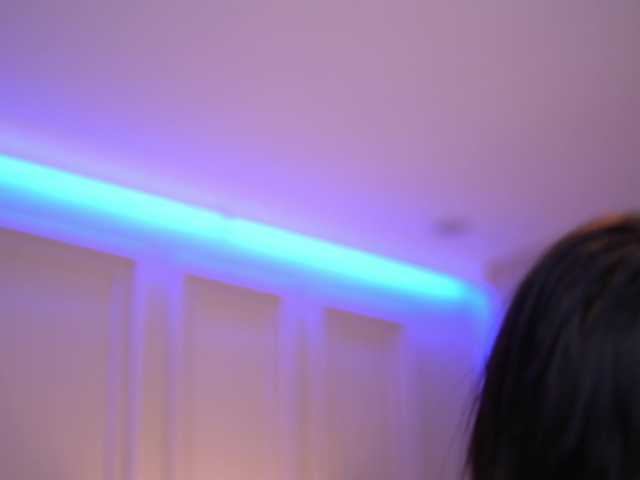 IvyVeil live cam on BongaCams