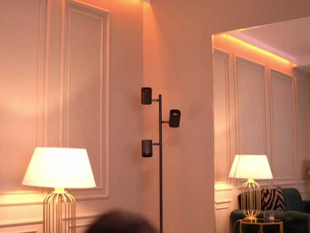 IvyVeil live cam on BongaCams