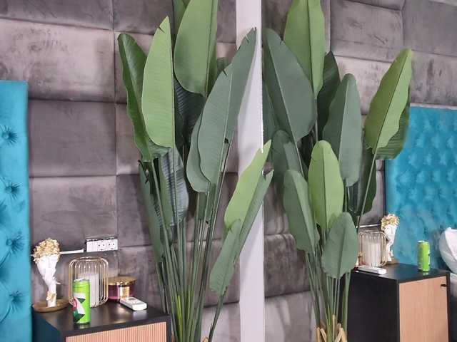 ElefteriaBlys