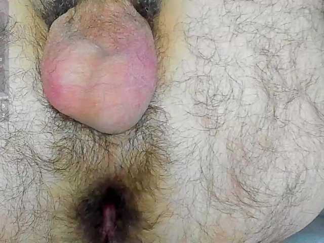 lauracamilo
