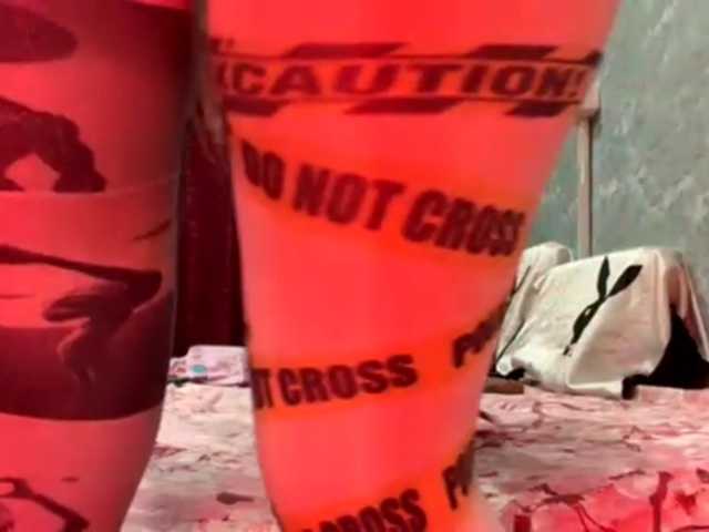 Aceass live cam preview