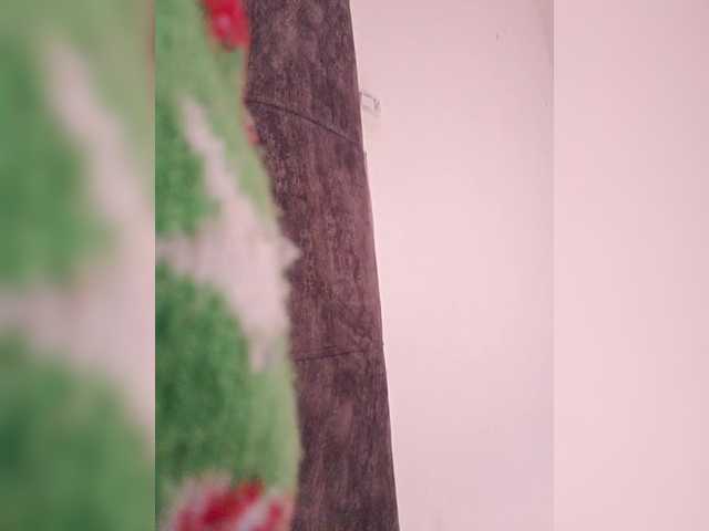 Ninaal13