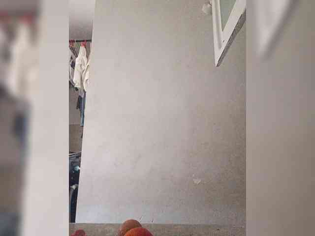 Ninaal13 webcam