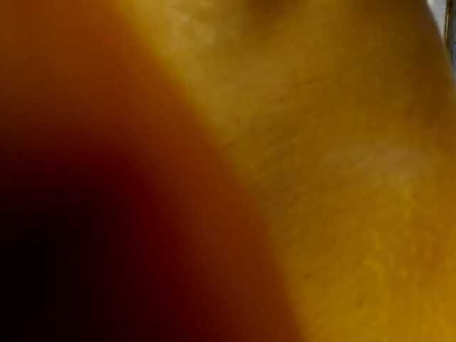 Avadelight live cam on BongaCams