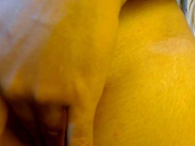 Avadelight live cam on BongaCams