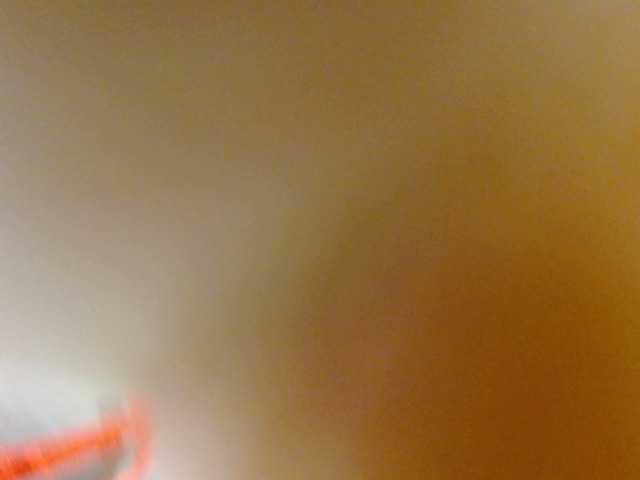 Avadelight live cam on BongaCams