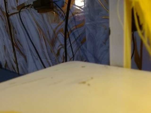 Avadelight webcam