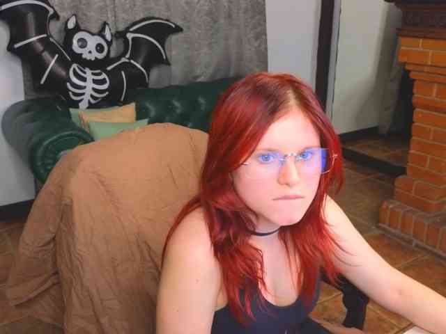 Fox-Cute webcam