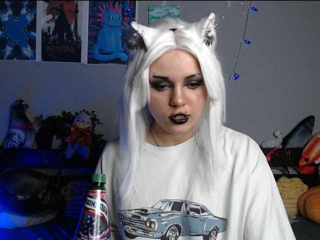 kotik-meov1 live cam on BongaCams