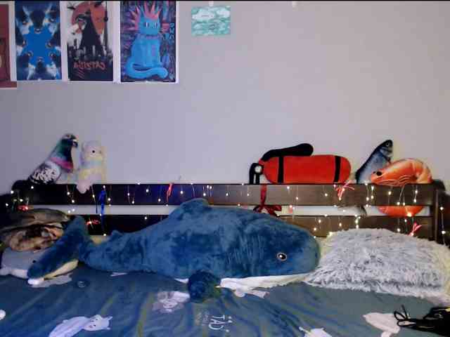 kotik-meov1 webcam